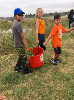 Planting day for Wharton students on Galveston Bay