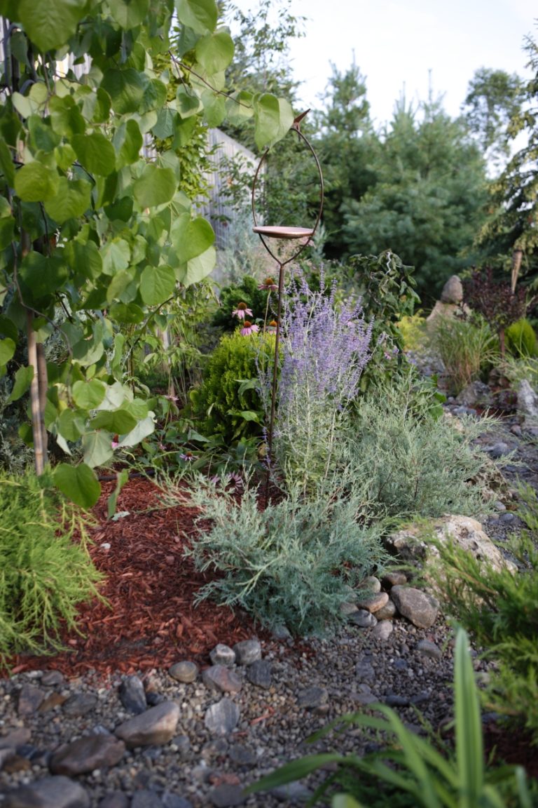 How to bring biodiversity into your garden - ScottsMiracle-Gro: Let's ...