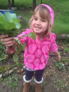 Child holding a radish