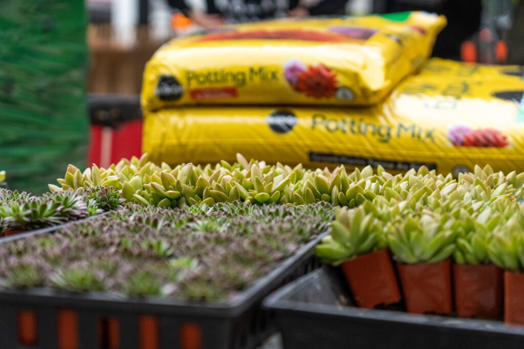 Close up of small plants with Miracle-Gro soil bags in the background