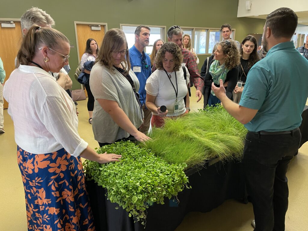 Group of people looking at various green grasses grown indoors