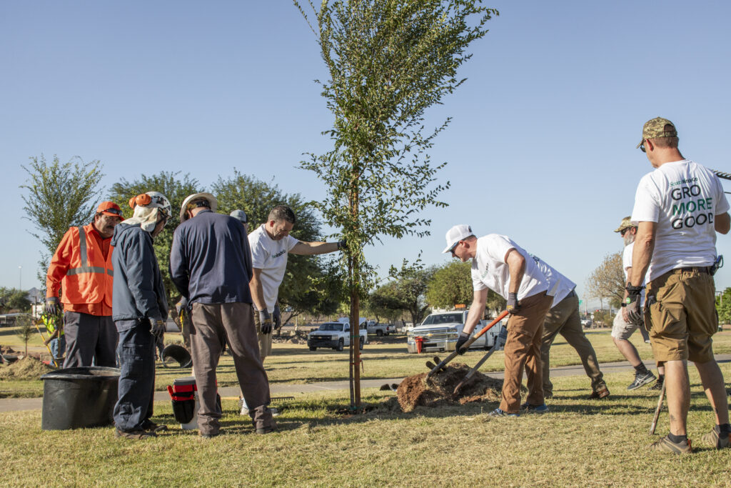 Image of several people helping to plant a small tree in the ground at a park